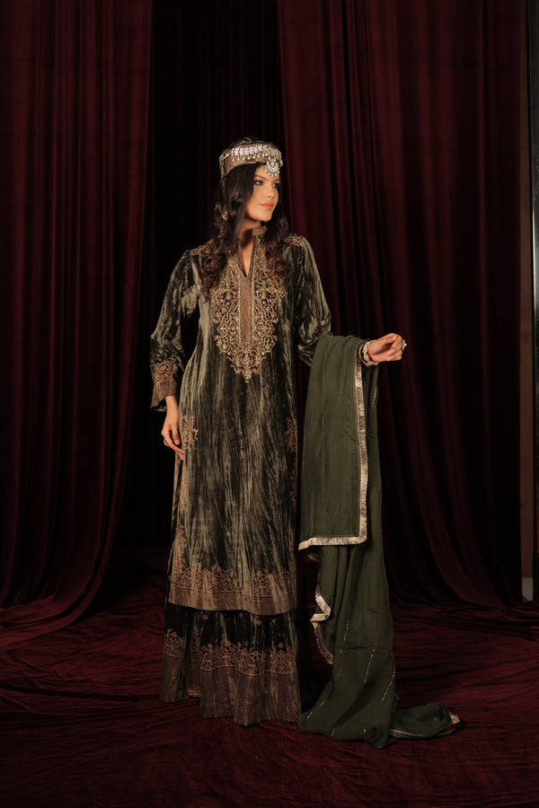 Alizeh Sharara Suit Set